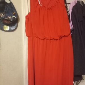 Roz & Ali Vibrant Red Midi Dress